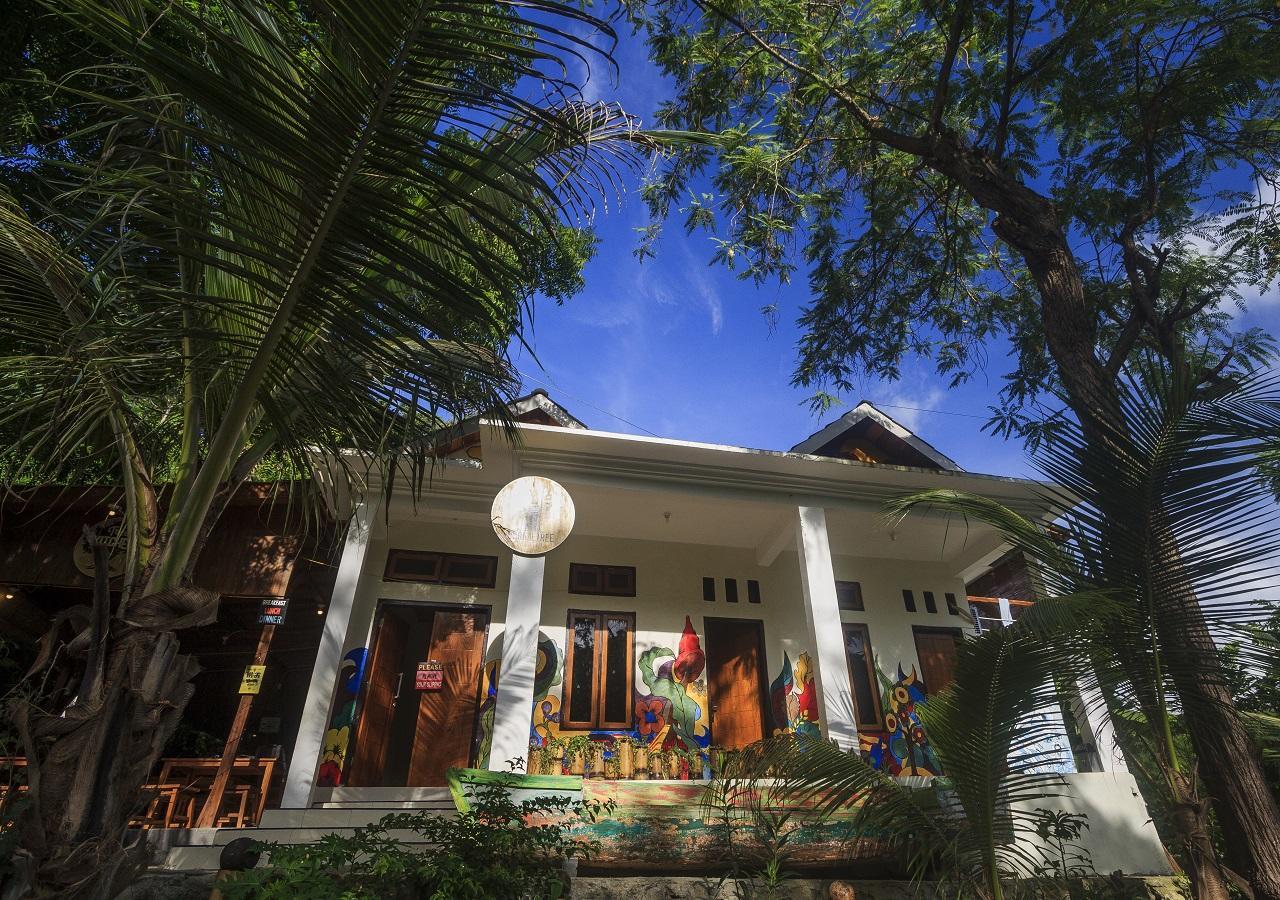 Hostel Dorme Tree Labuan Bajo Exteriér fotografie